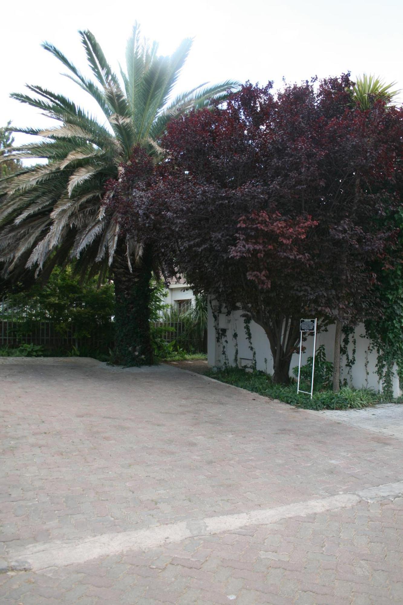 Indigo Moon Guesthouse Lichtenburg Exteriör bild